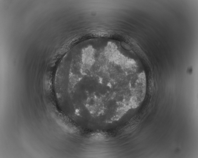 X0000114720259200912021201