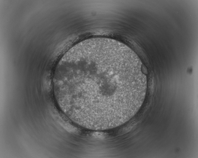 X0000114720261200912021201