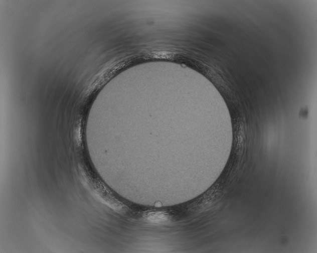 X0000114720262200912021201