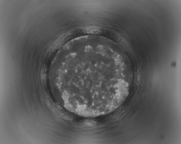 X0000114720263200912021201