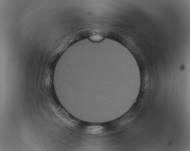 X0000114720266200912021201