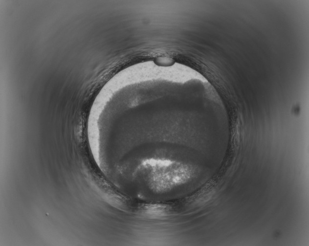 X0000114720268200912021201