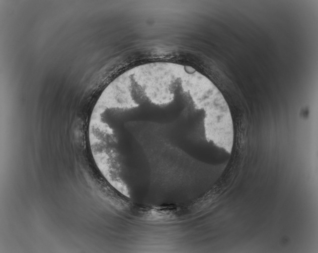 X0000114720270200912021201