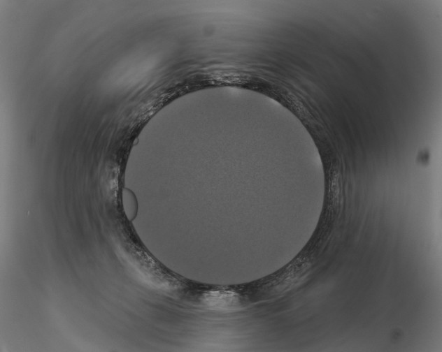 X0000114720271200912021202