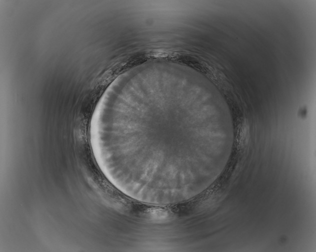 X0000114720272200912021202