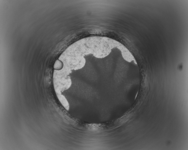 X0000114720273200912021202