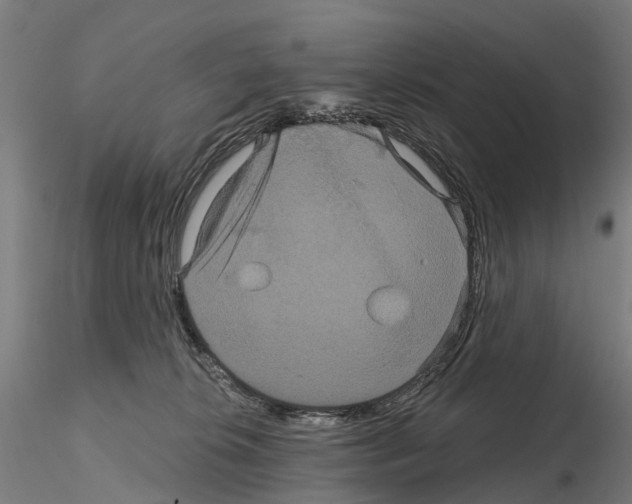 X0000114720276200912021202