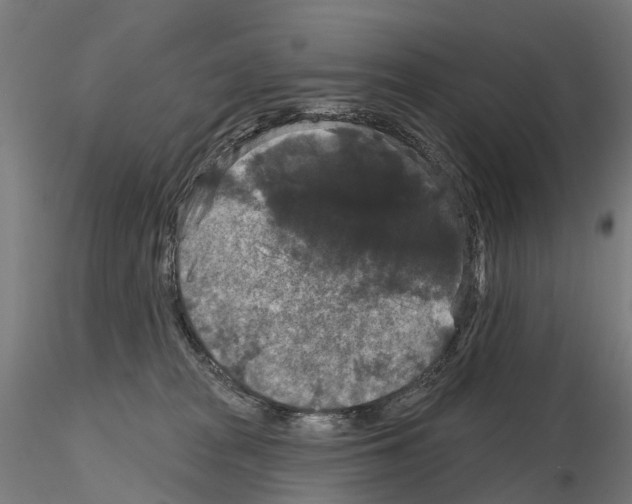 X0000114720277200912021202