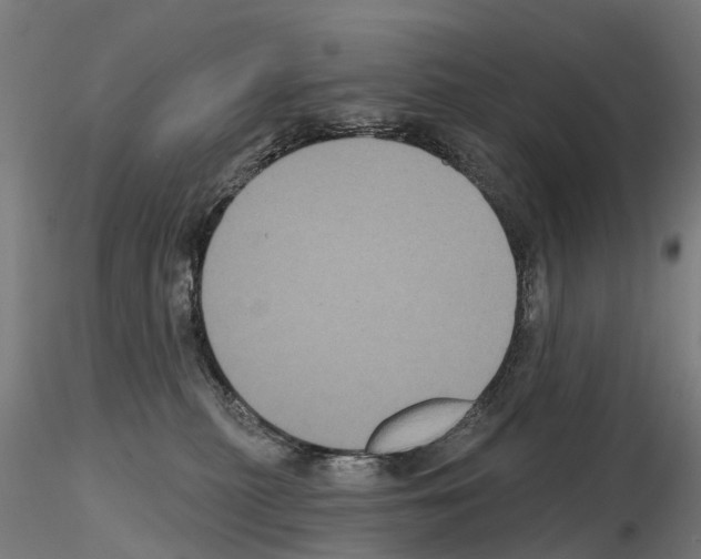 X0000114720279200912021202