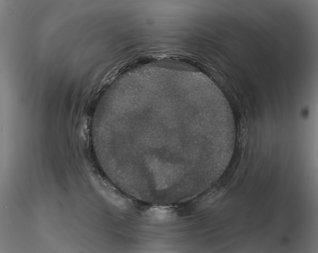 X0000114720280200912021202