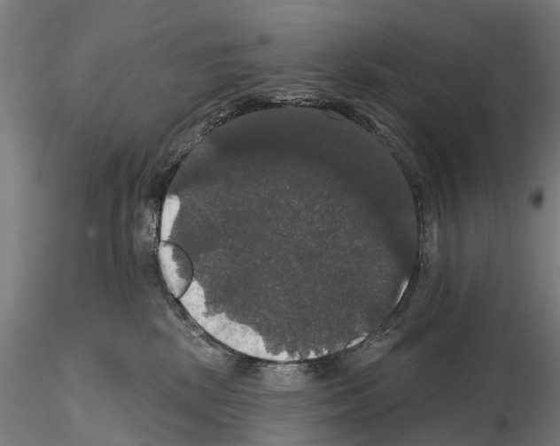 X0000114720281200912021202