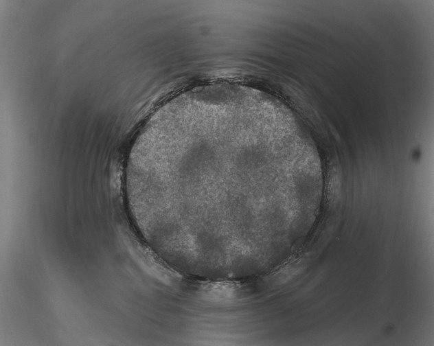 X0000114720282200912021202