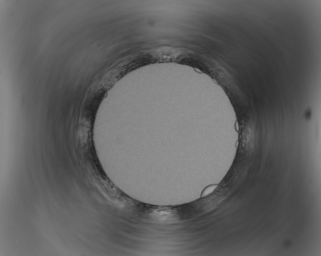 X0000114720283200912021202