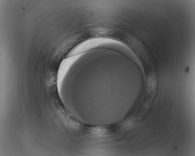 X0000114720284200912021202