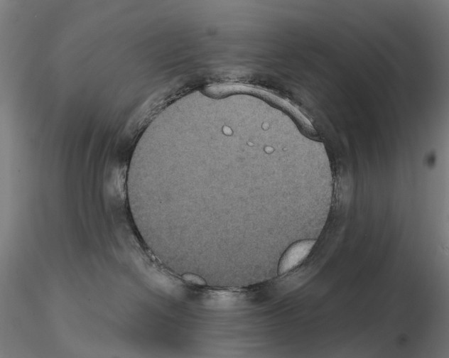 X0000114720286200912021202