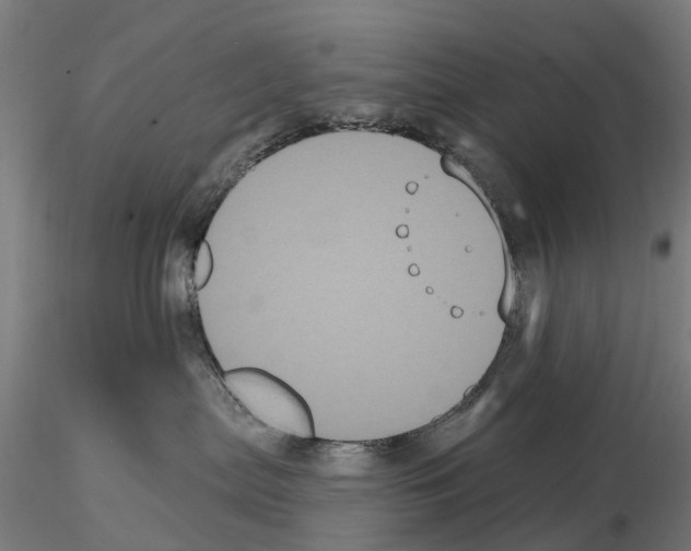 X0000114720287200912021202