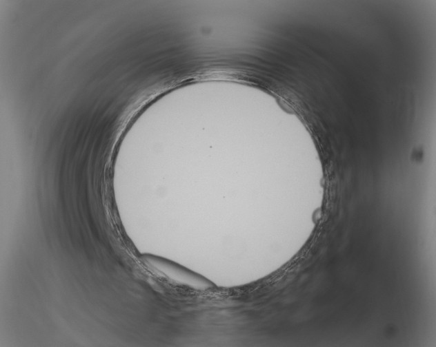 X0000114720289200912021201