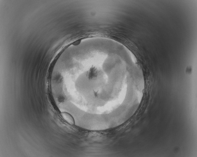 X0000114720290200912021201