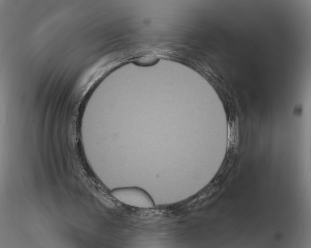 X0000114720291200912021201