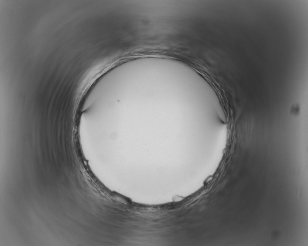 X0000114720293200912021201