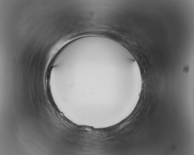 X0000114720294200912021201