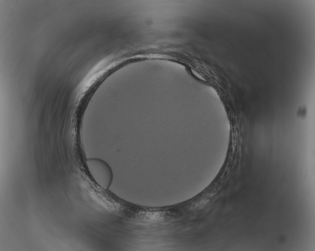 X0000114720295200912021201