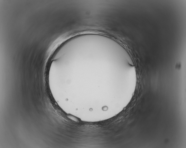 X0000114720296200912021201