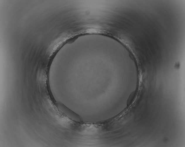 X0000114720297200912021201