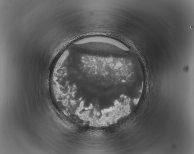 X0000114720299200912021201