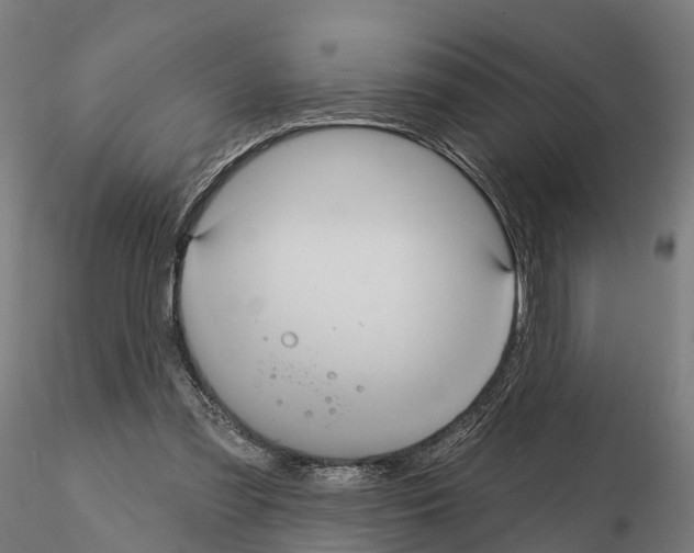 X0000114720301200912021201