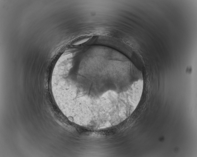 X0000114720303200912021201