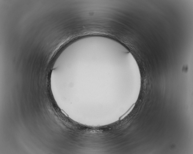 X0000114720304200912021201