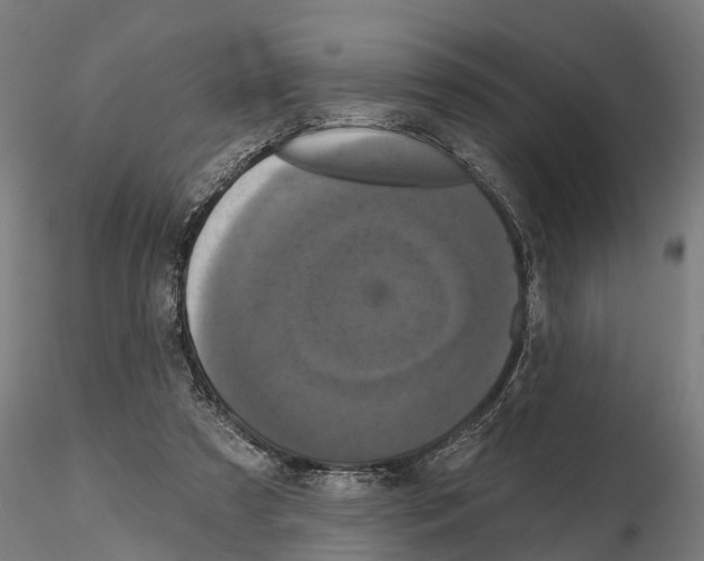 X0000114720305200912021201