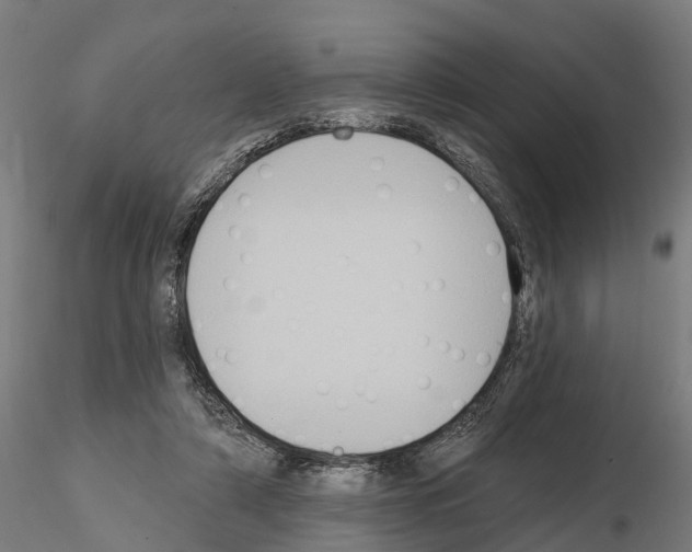 X0000114720306200912021201