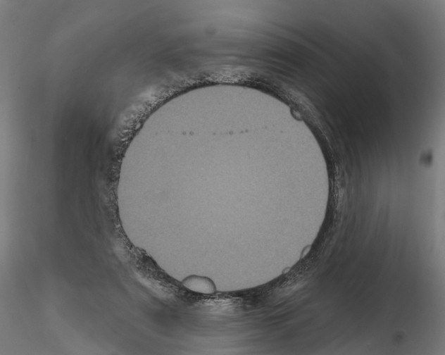 X0000114720307200912021201