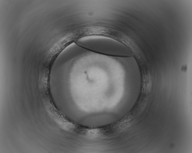 X0000114720309200912021201