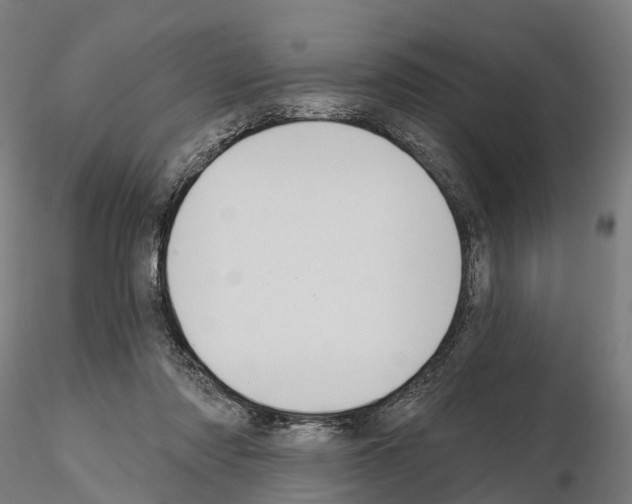 X0000114720310200912021201