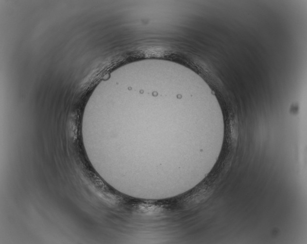 X0000114720311200912021201