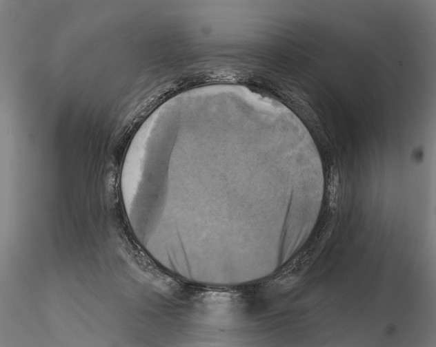 X0000114720314200912021201