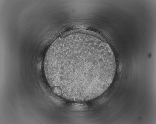 X0000114720315200912021201