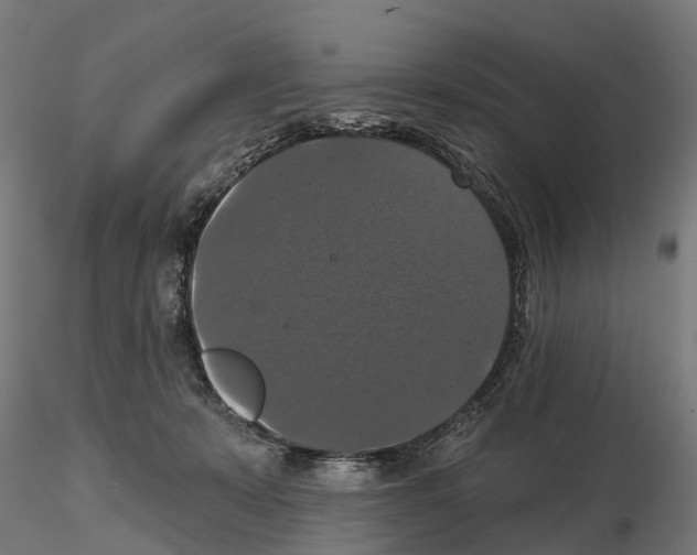 X0000114720319200912021201