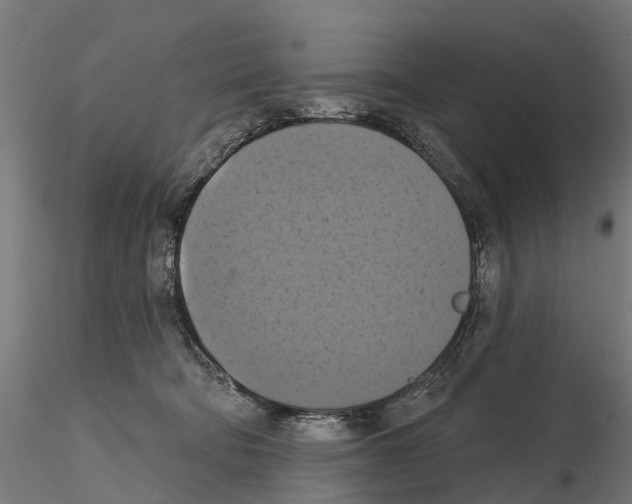 X0000114720322200912021201