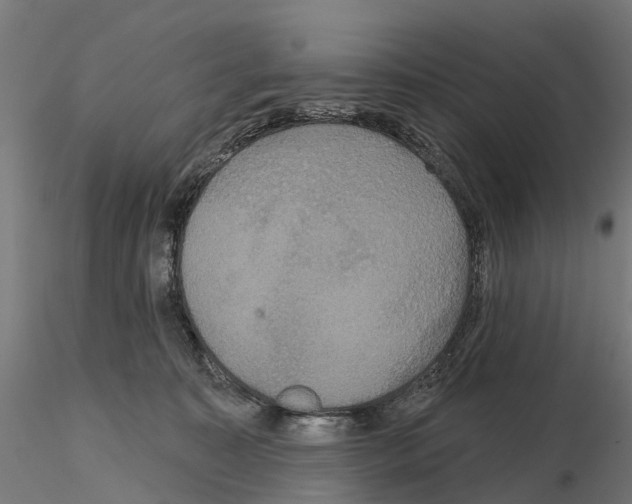 X0000114720323200912021200