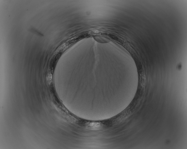 X0000114720324200912021200