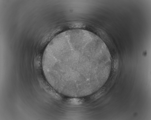 X0000114720326200912021200