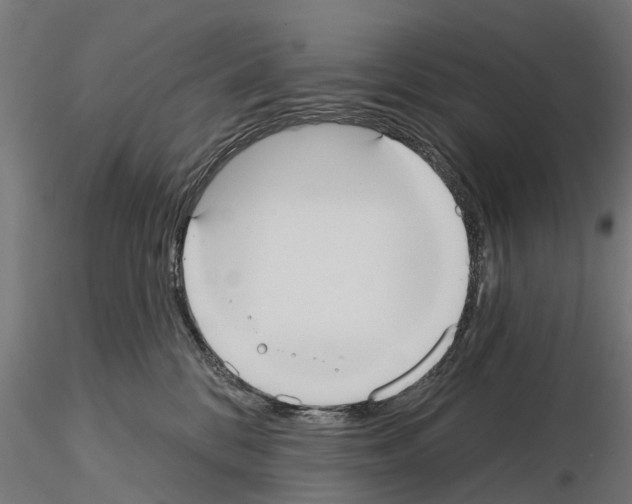 X0000114720328200912021200