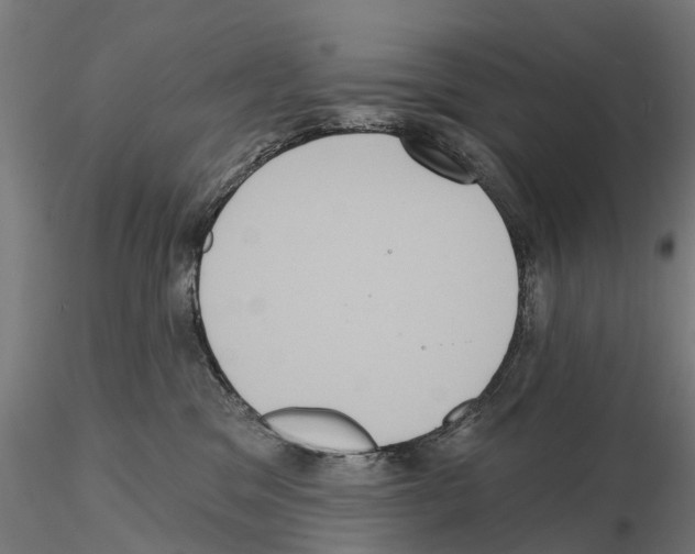 X0000114720329200912021200