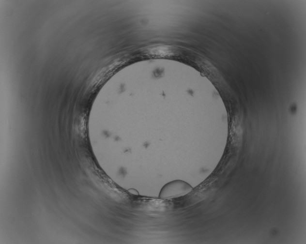 X0000114720330200912021200