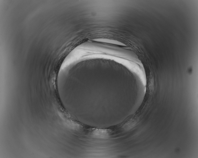 X0000114720332200912021200