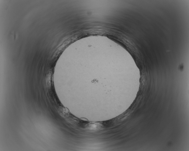 X0000114720333200912021200